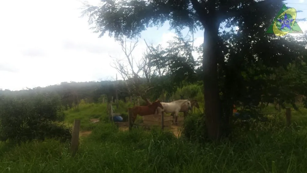 Terreno, 3 hectares - Foto 4
