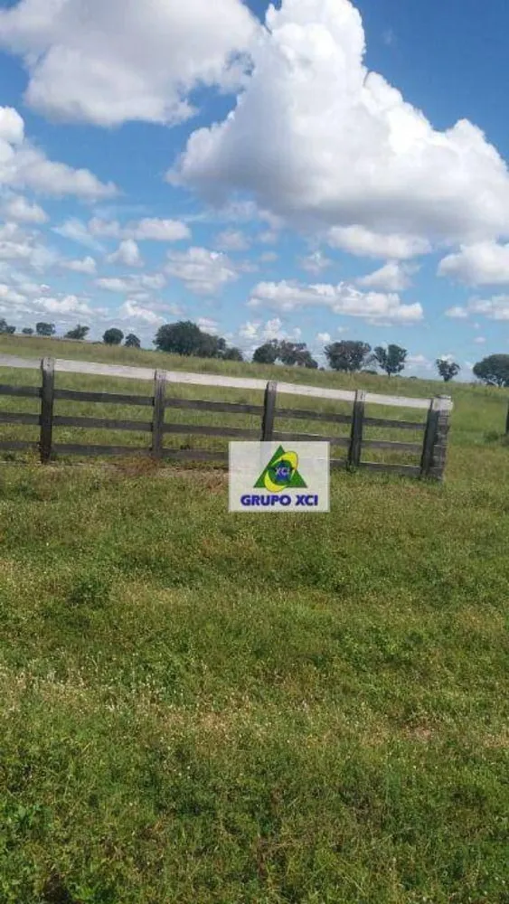 Fazenda, 14000 hectares - Foto 7