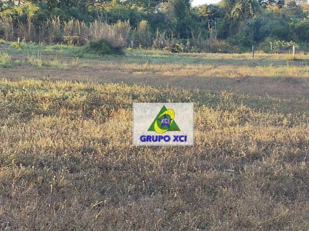 Fazenda, 14000 hectares - Foto 9