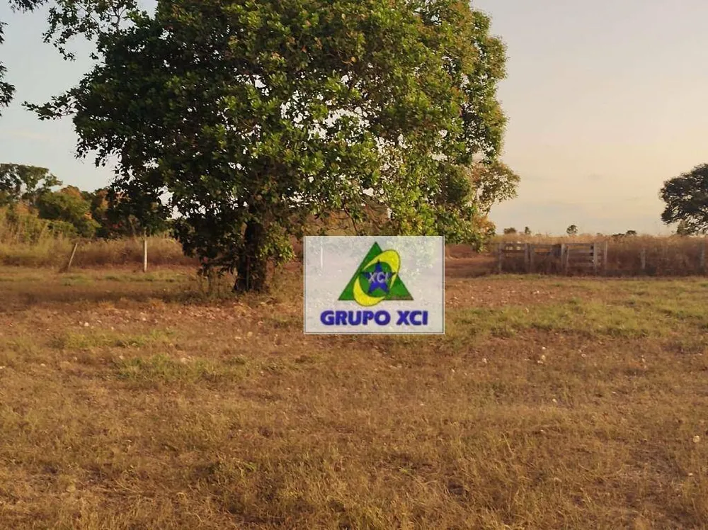 Fazenda, 14000 hectares - Foto 4
