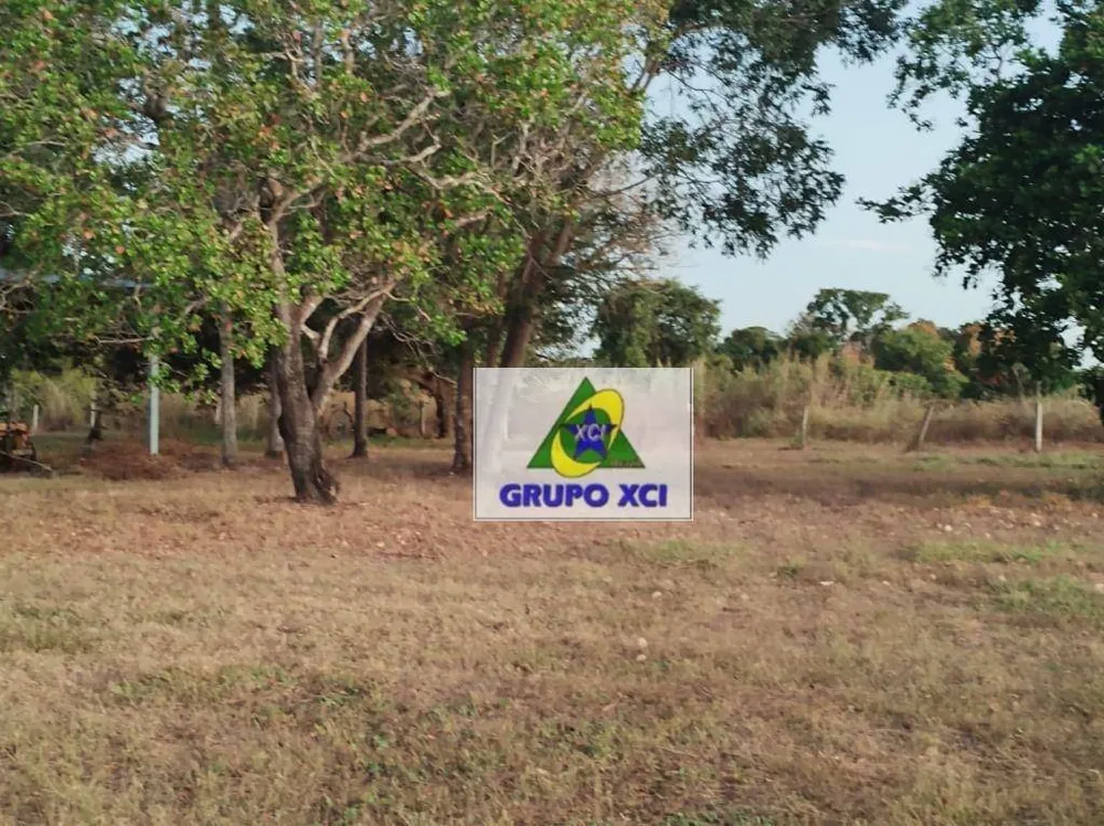 Fazenda, 14000 hectares - Foto 6