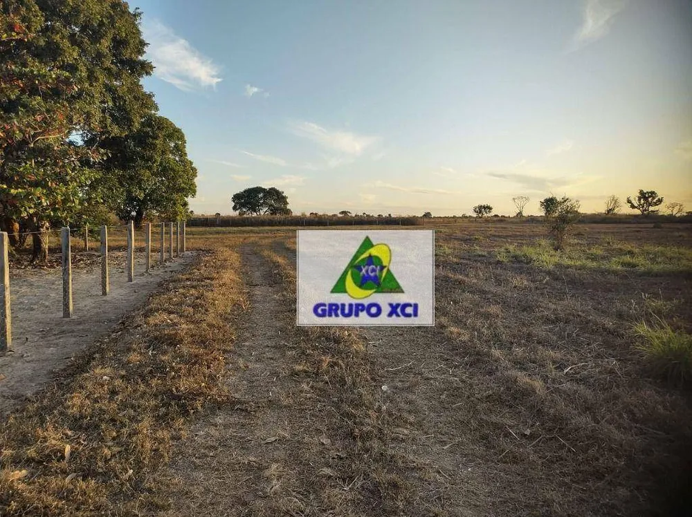 Fazenda, 14000 hectares - Foto 8