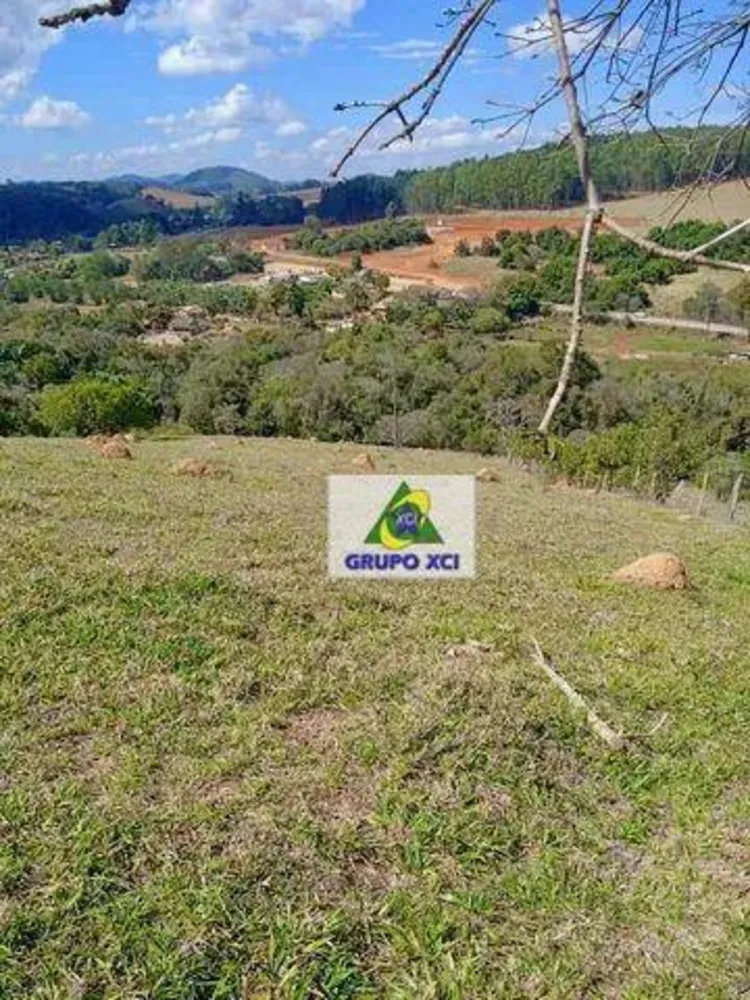 Sítio, 11 hectares - Foto 7