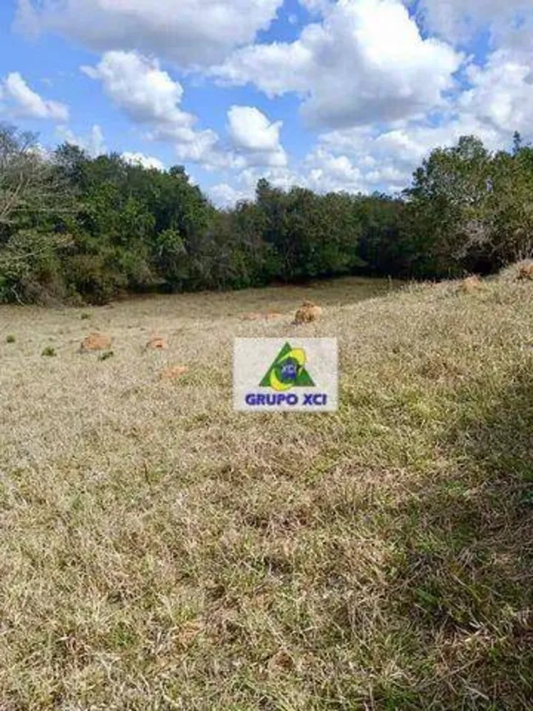 Sítio, 11 hectares - Foto 6