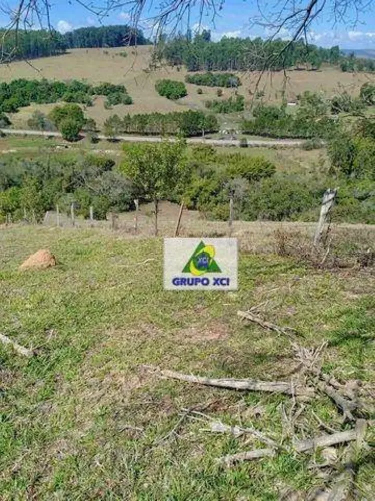 Sítio, 11 hectares - Foto 8