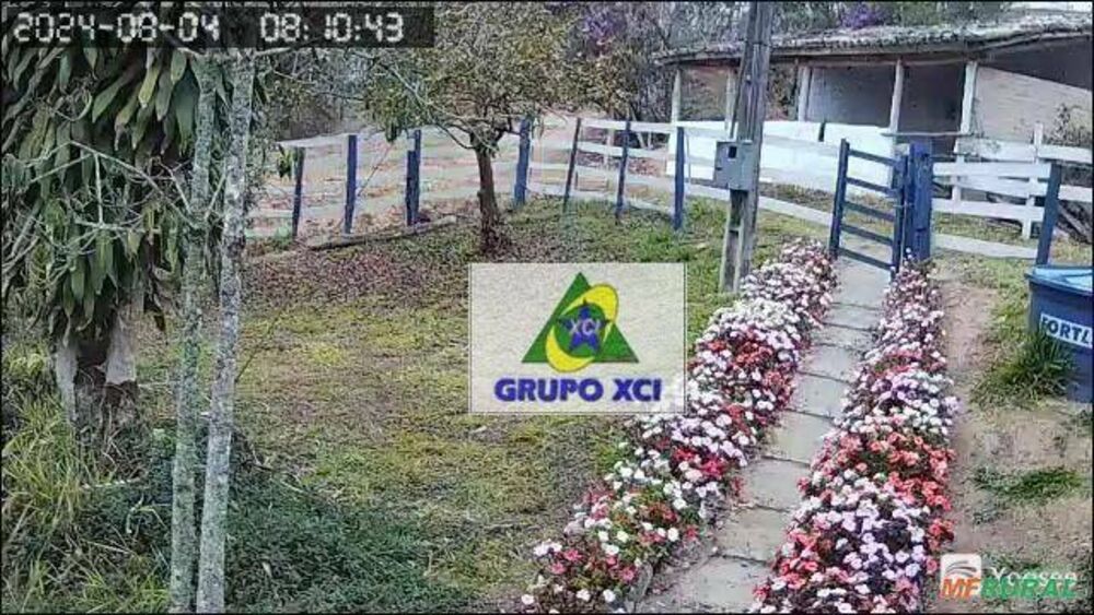Fazenda, 24 hectares - Foto 6
