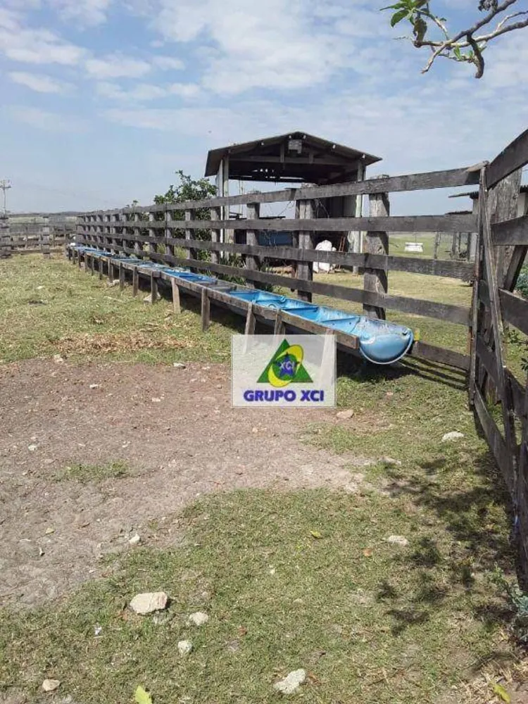 Sítio, 36 hectares - Foto 10