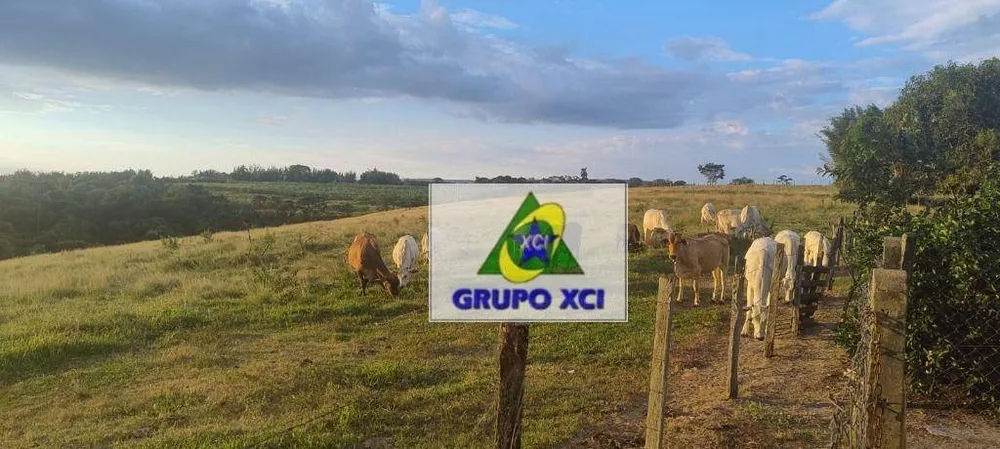 Sítio, 36 hectares - Foto 12