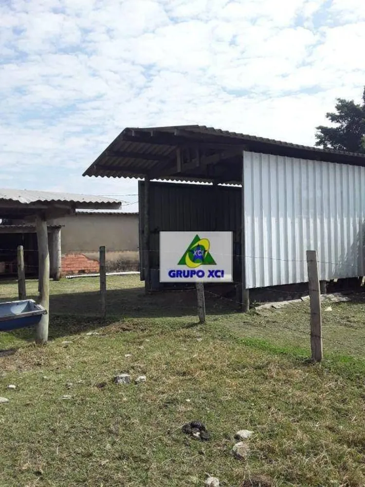 Sítio, 36 hectares - Foto 4