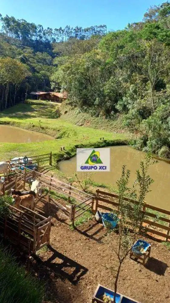 Sítio, 4 quartos, 6 hectares - Foto 8