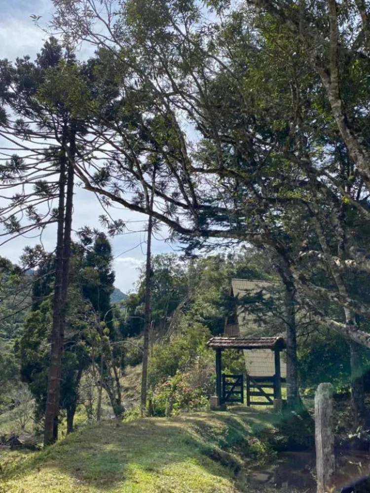 Fazenda, 158 hectares - Foto 3