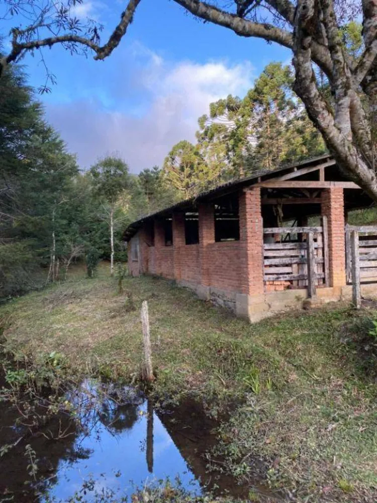 Fazenda, 158 hectares - Foto 7