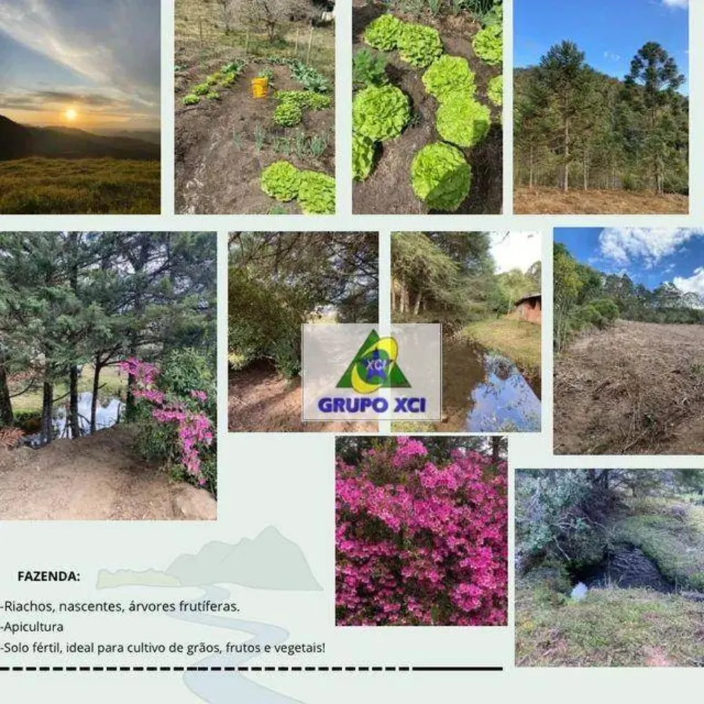 Fazenda, 158 hectares - Foto 2