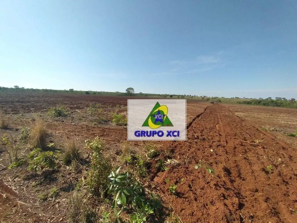 Fazenda, 785 hectares - Foto 5