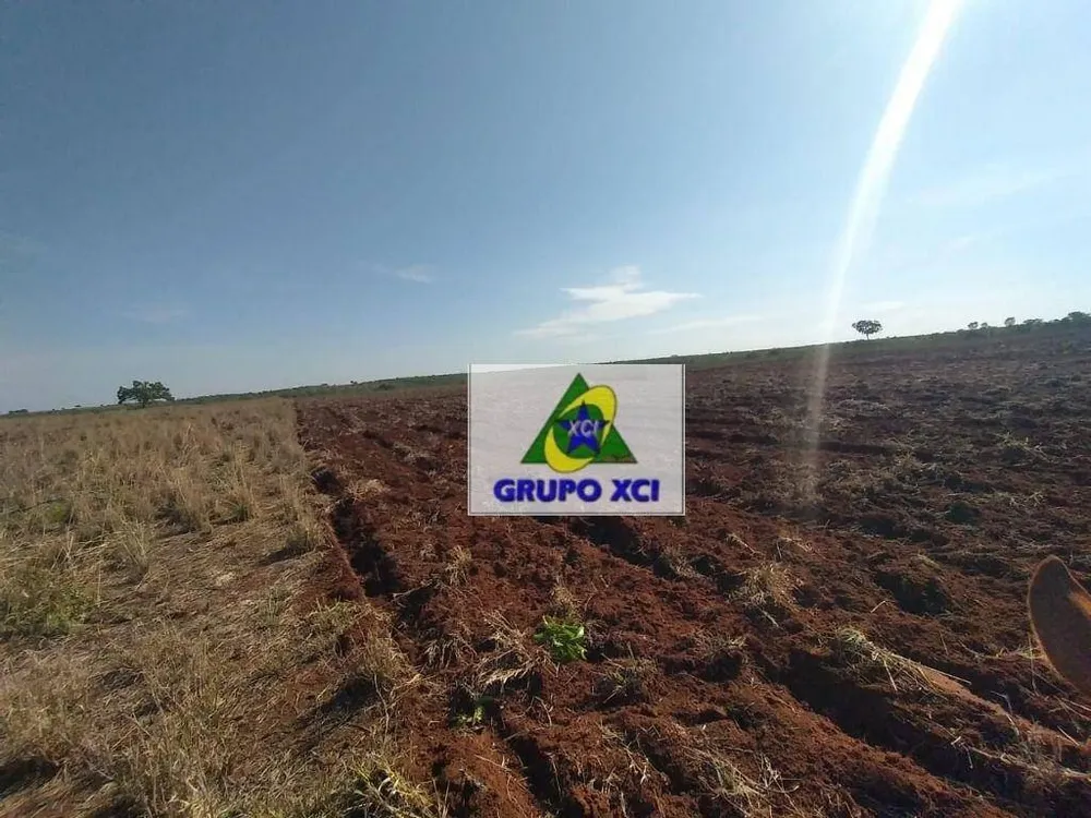 Fazenda, 785 hectares - Foto 9