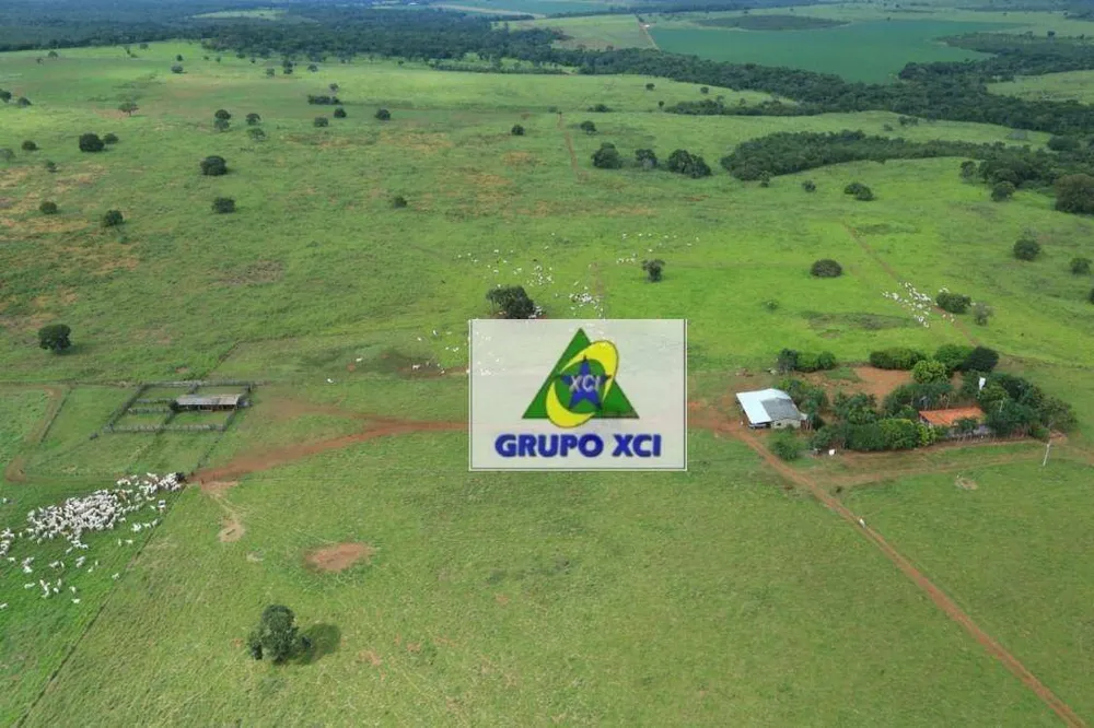 Fazenda, 785 hectares - Foto 2