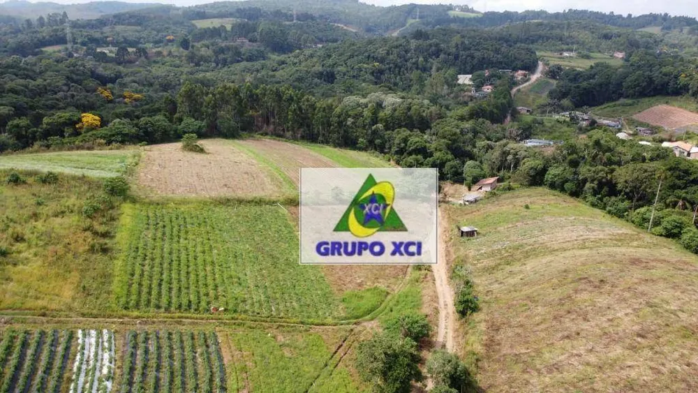 Sítio, 2 quartos, 24 hectares - Foto 11