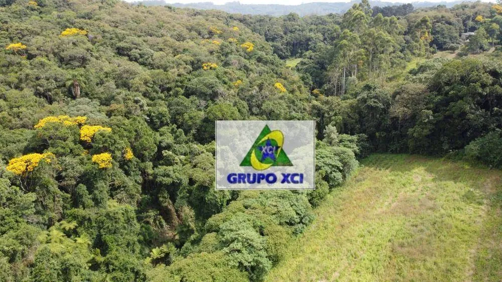 Sítio, 2 quartos, 24 hectares - Foto 10