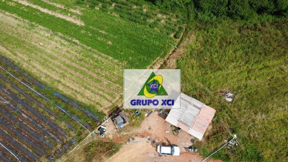 Sítio, 2 quartos, 24 hectares - Foto 7