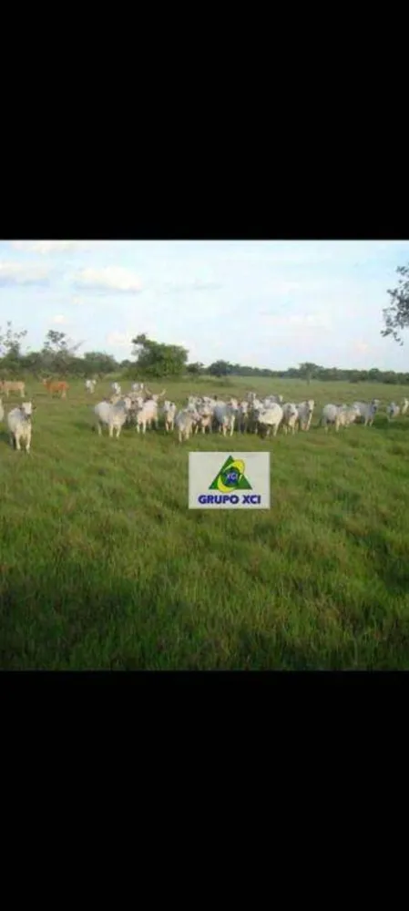 Fazenda, 12000 hectares - Foto 2