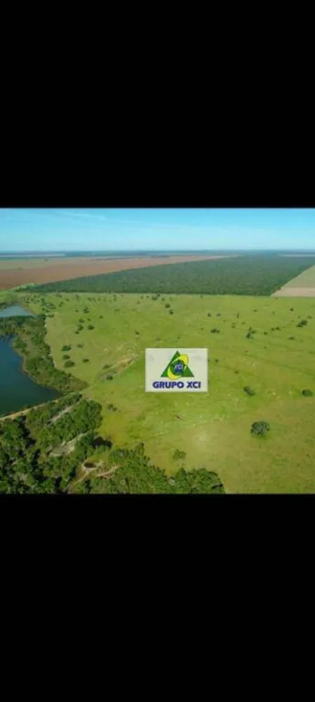 Fazenda, 12000 hectares - Foto 4