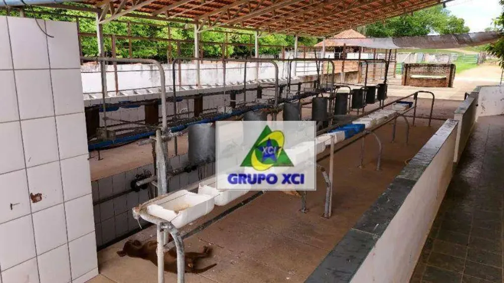 Fazenda, 208 hectares - Foto 9