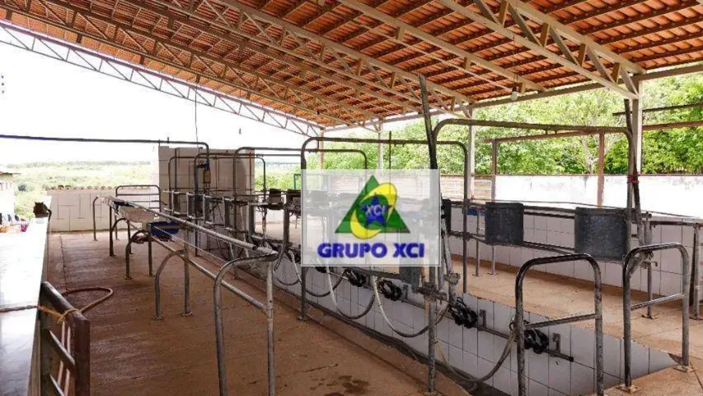 Fazenda, 208 hectares - Foto 8