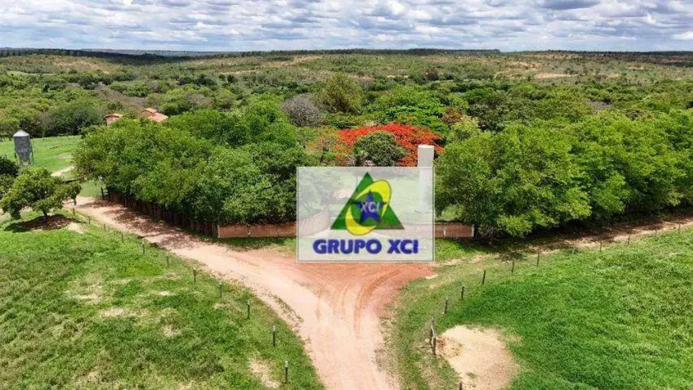 Fazenda, 208 hectares - Foto 3