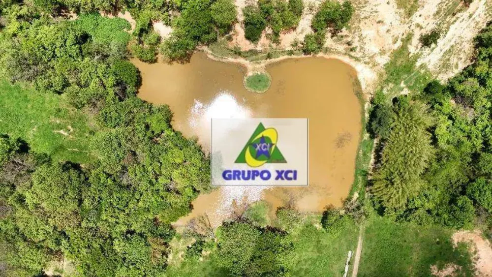Fazenda, 208 hectares - Foto 10