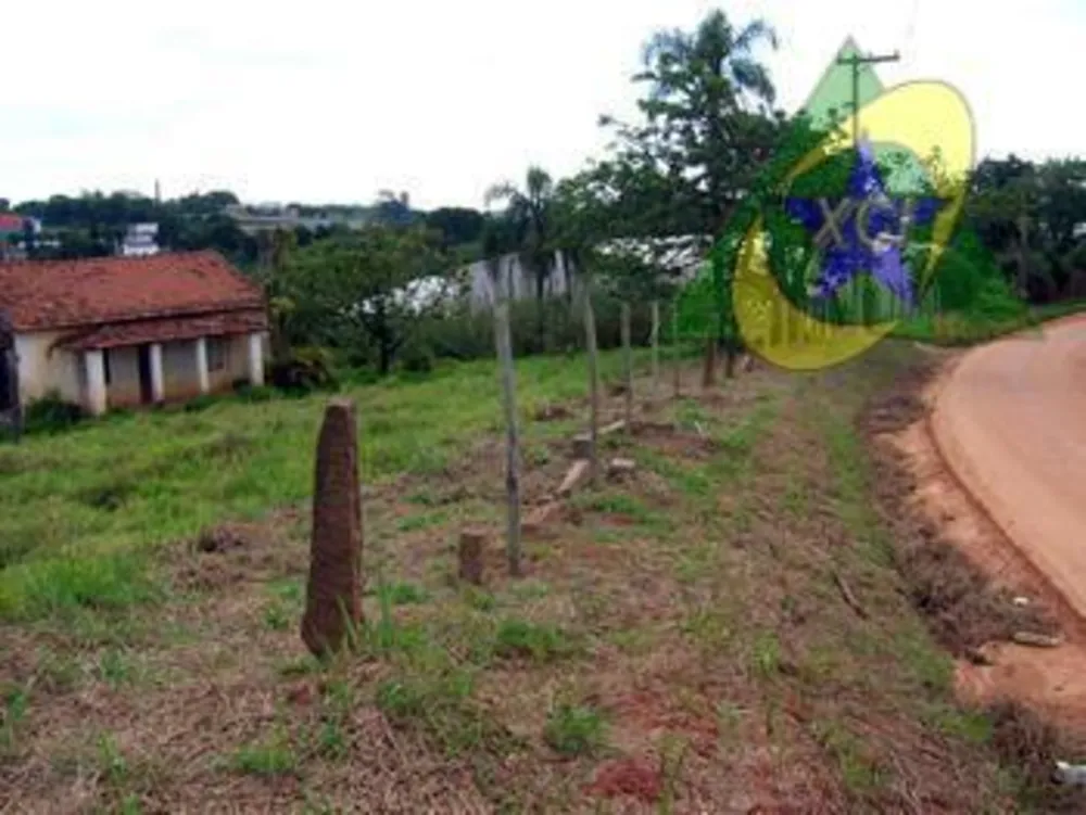 Terreno, 6 hectares - Foto 4