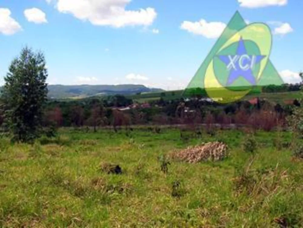 Terreno, 6 hectares - Foto 3