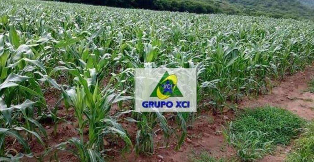 Fazenda à venda, 41028580M2 - Foto 2