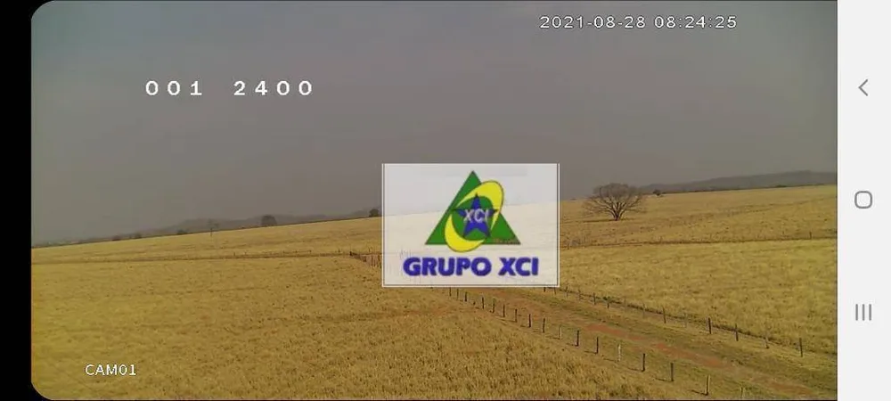 Fazenda, 1239 hectares - Foto 6