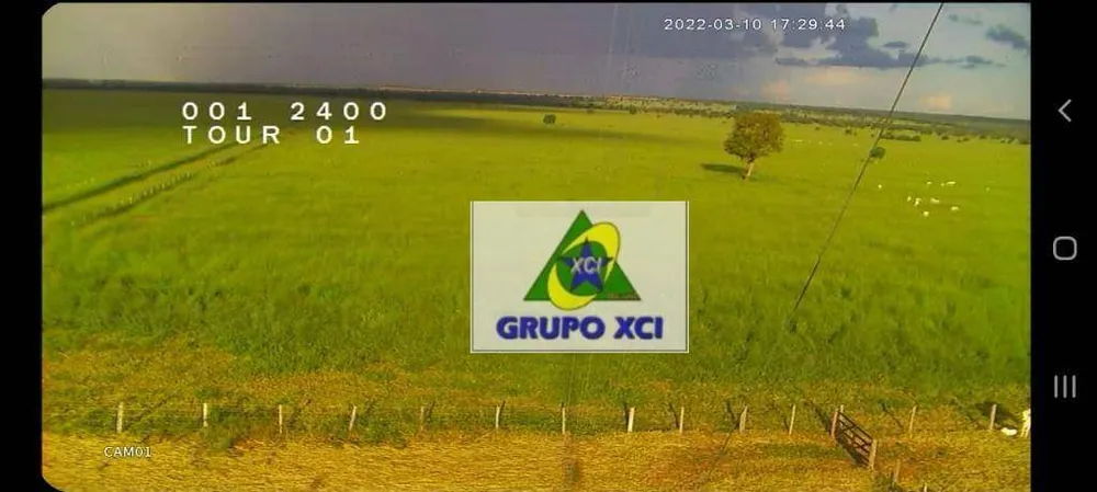 Fazenda, 1239 hectares - Foto 3