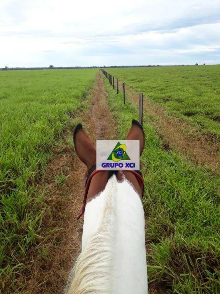 Fazenda, 1239 hectares - Foto 7