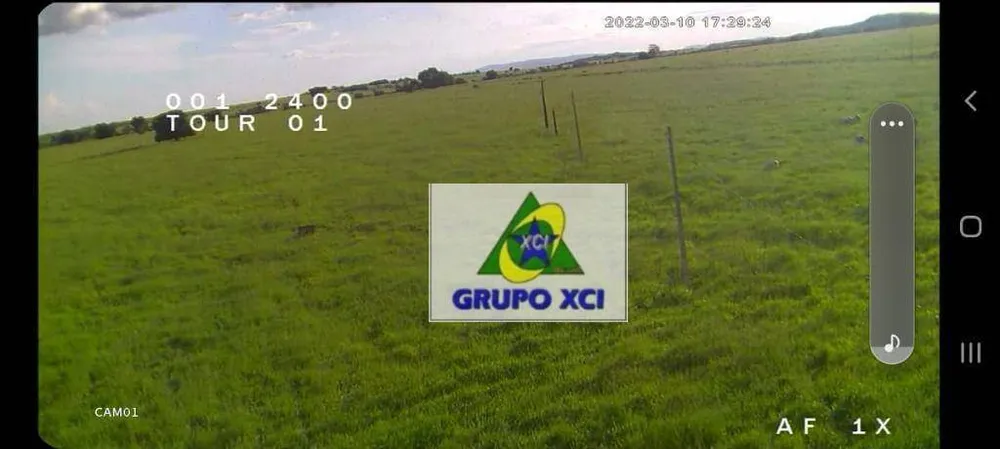 Fazenda, 1239 hectares - Foto 4