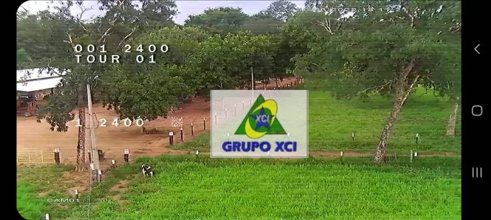 Fazenda, 1239 hectares - Foto 9