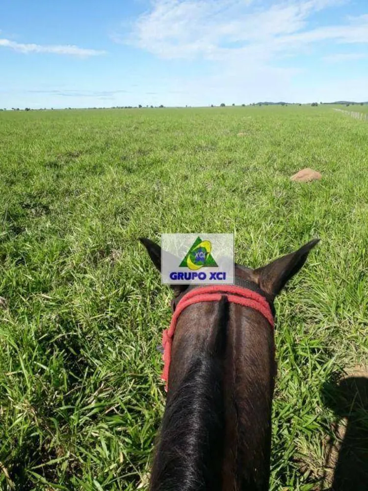 Fazenda, 1239 hectares - Foto 11