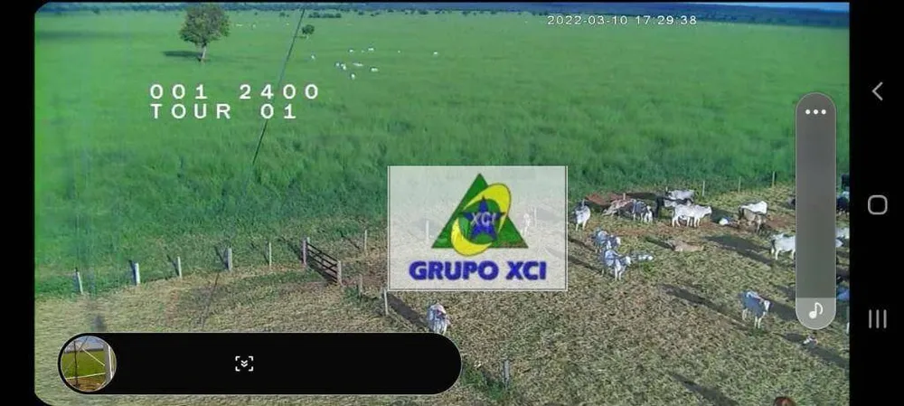 Fazenda, 1239 hectares - Foto 8