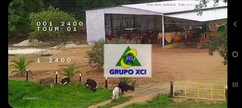 Fazenda, 1239 hectares - Foto 12