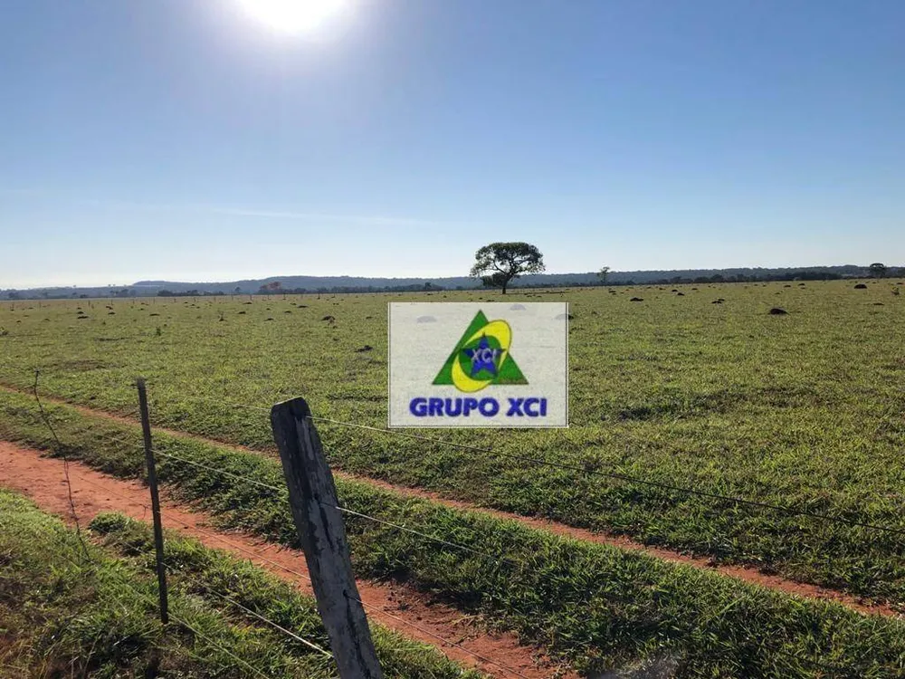 Fazenda, 1239 hectares - Foto 1