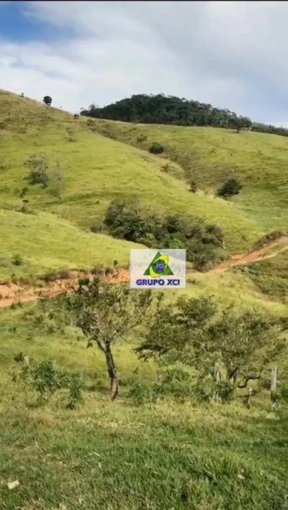 Fazenda, 85 hectares - Foto 2