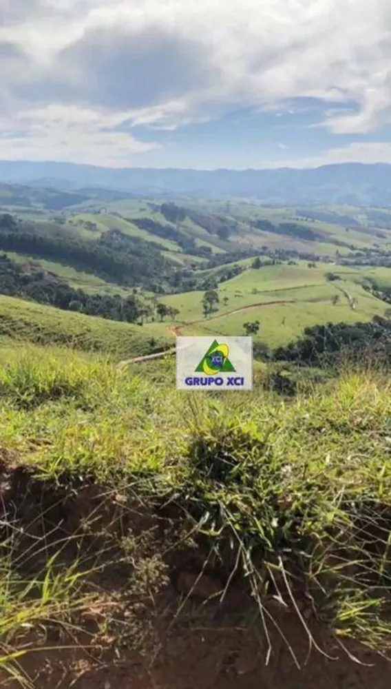Fazenda, 85 hectares - Foto 6
