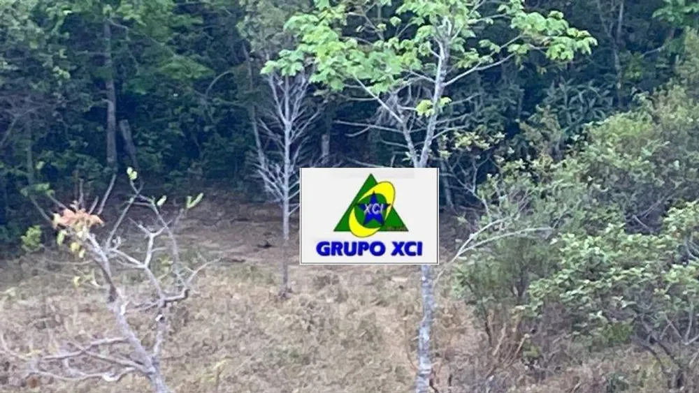 Fazenda, 691 hectares - Foto 2