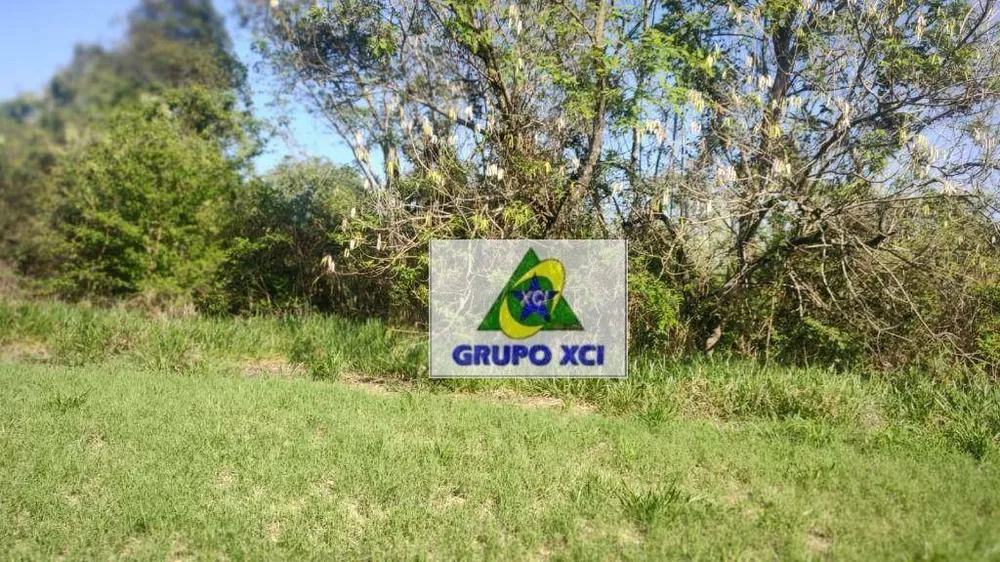 Sítio, 6 hectares - Foto 3