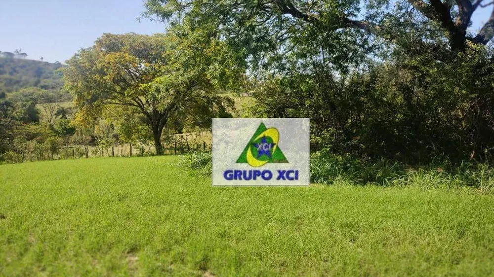 Sítio, 6 hectares - Foto 2