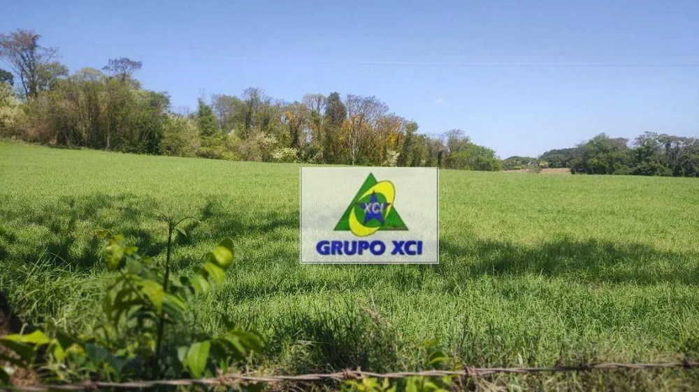 Sítio, 6 hectares - Foto 12