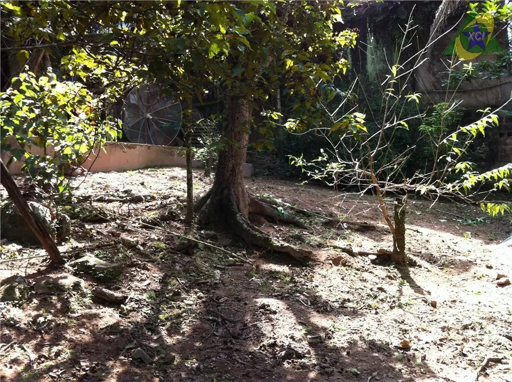 Chácara, 3 quartos, 3000 m² - Foto 6