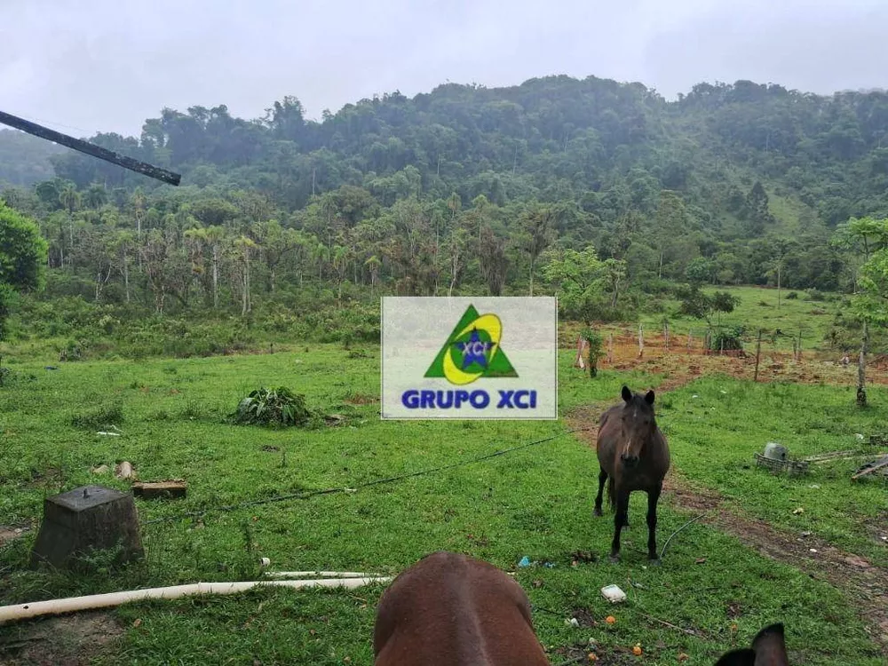 Fazenda à venda, 770000M2 - Foto 4