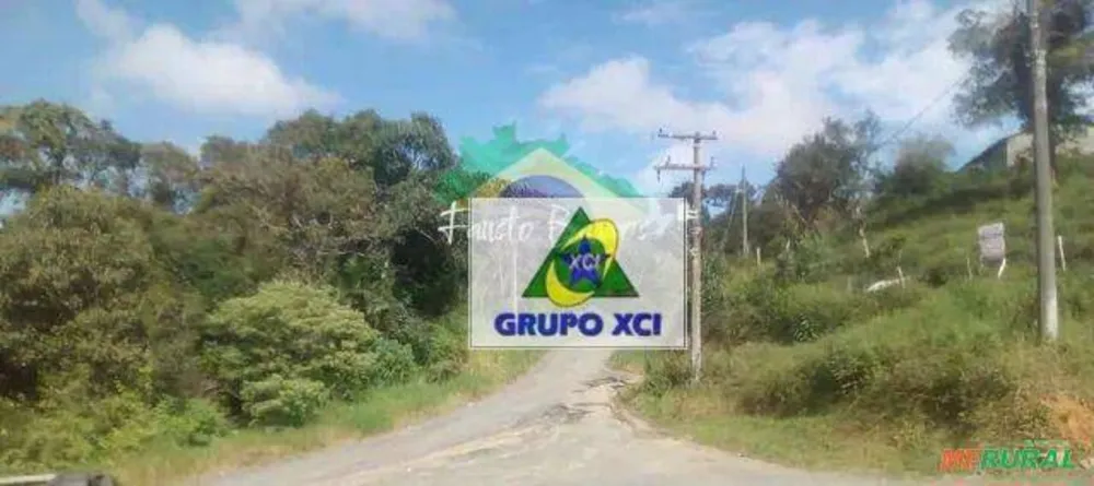 Fazenda, 77 hectares - Foto 8